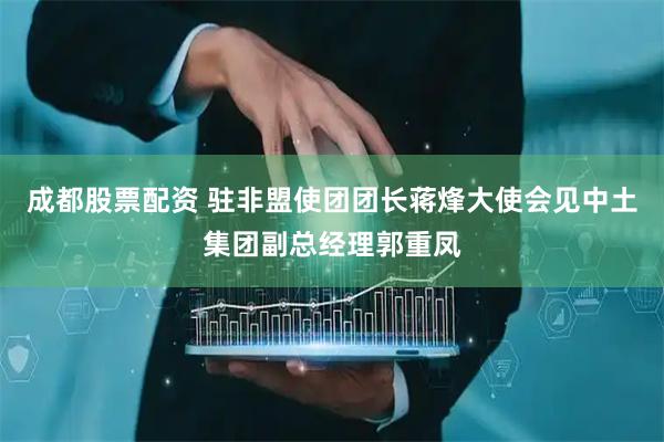 成都股票配资 驻非盟使团团长蒋烽大使会见中土集团副总经理郭重凤