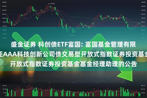 盛金证券 科创债ETF富国: 富国基金管理有限公司关于增聘富国中证AAA科技创新公司债交易型开放式指数证券投资基金基金经理助理的公告