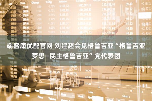 端盛康优配官网 刘建超会见格鲁吉亚“格鲁吉亚梦想—民主格鲁吉亚”党代表团